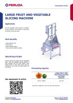 LARGE FRUIT AND VEGETABLE SLICING MACHINE