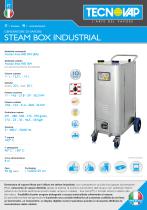 STEAM BOX IND - 1