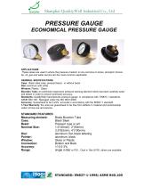 Economical Pressure Gauge