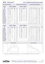 Motori A.C. 3-fase per inverter MTES - 13