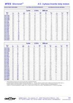 Motori A.C. 3-fase per inverter MTES - 14