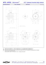 Motori A.C. 3-fase per inverter MTES - 16