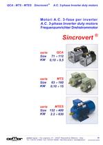 Motori A.C. 3-fase per inverter MTES - 1