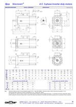 Motori A.C. 3-fase per inverter MTES - 6