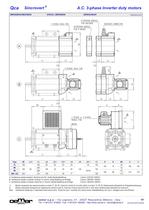 Motori A.C. 3-fase per inverter MTES - 7