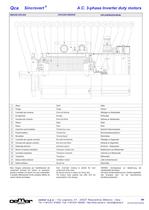 Motori A.C. 3-fase per inverter MTES - 9