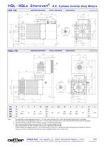 Motori A.C. 3-fase per Inverter QL-HQL-HQLa - 10