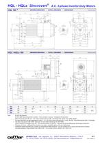 Motori A.C. 3-fase per Inverter QL-HQL-HQLa - 11