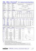 Motori A.C. 3-fase per Inverter QL-HQL-HQLa - 3