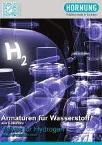 Hydrogen Sonderheft 2023