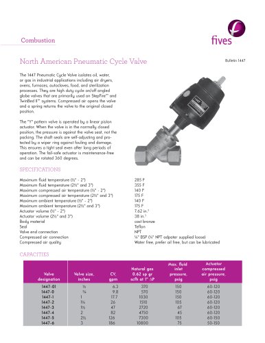 Pneumatic Cycle Valve