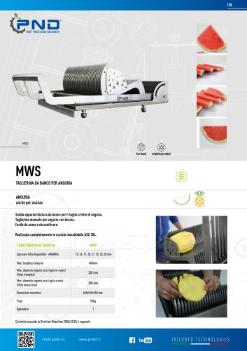 MWS - Scheda Tecnica