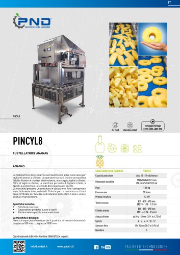 Pincyl8 - Scheda Tecnica