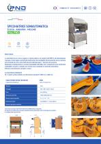 PWS – Scheda Tecnica-1
