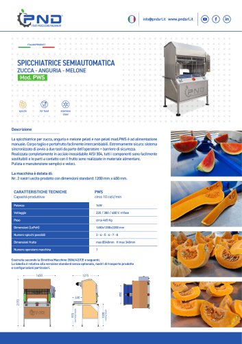 PWS &ndash; Scheda Tecnica