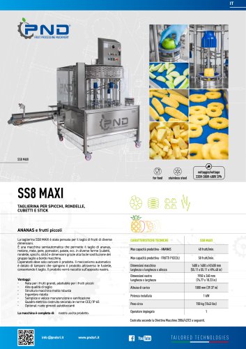 SS2 MAXI &ndash; Scheda Tecnica