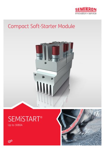 Flyer SEMISTART