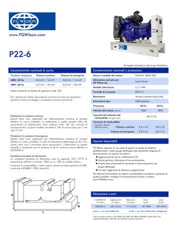 P22-6 Diesel Generator Set