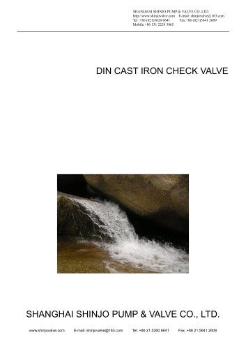 DIN CAST IRON CHECK VALVE