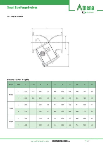 Y type strainer- STR-YT