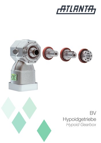 BV Hypoid Gearbox