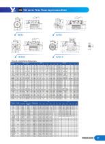 IEC YDS series Three Phase Asychronous Motor