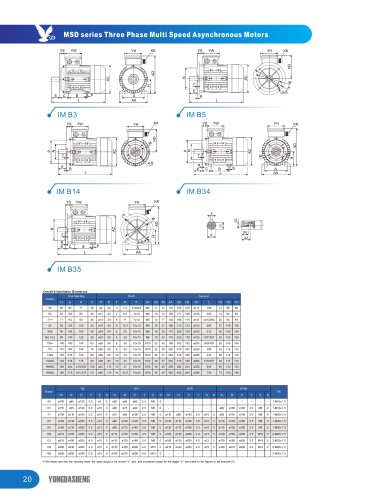 MSD series Three Phase Multi Speed Asynchronous Motors