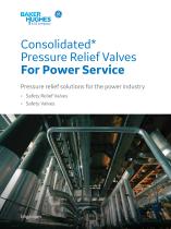 Pressure Relief Valves For Power Service