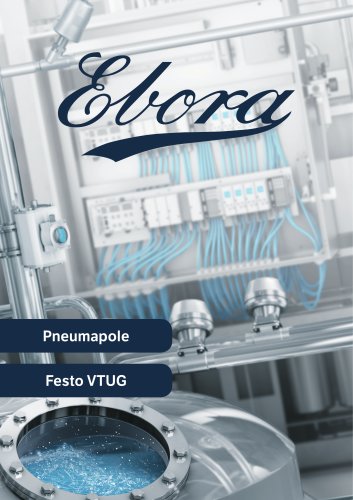 Pneumapole Brochure EN