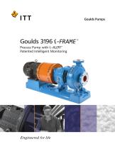 Goulds 3196 i-FRAME Process Pump