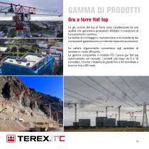 GRU A TORRE TEREX - 10