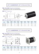 DYD MOTOR_Brushed DC Motor_71ZY110