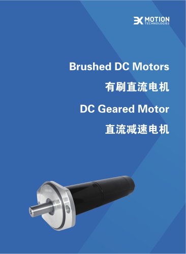 Brushed DC motor