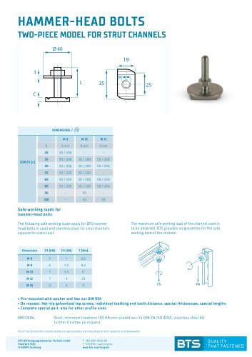 HAMMER-HEAD BOLTS 2025