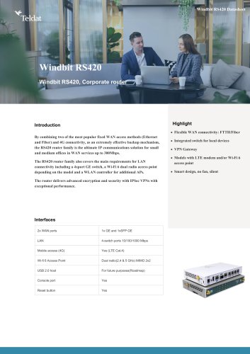 Windit RS 420
