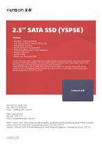 Internal SSD YSM600T series