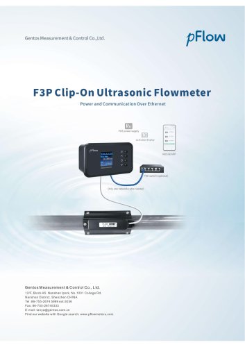 F3P Clip-On Ultrasonic Flowmeter