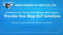 King Pigeon IoT