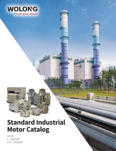 Standard Industrial Motor Catalog 2023