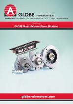 Non-lubricated air motor V -NL series