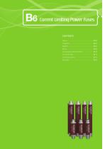 Power Fuse