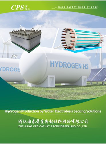 Hydrogen Production by Water Electrolysis Sealing Solutions