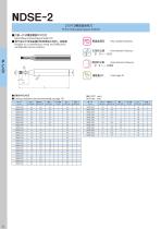 NDSE-2