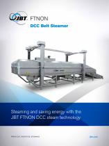 Belt Steaming System