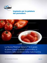 Impianto per la pelatura del pomodoro - 1