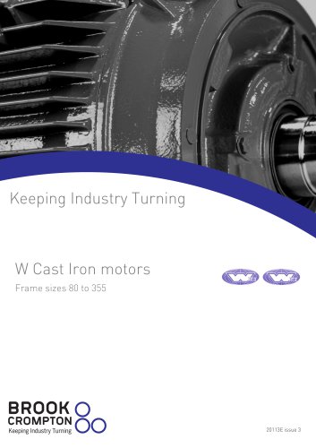 W Cast Iron motors