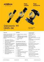 QALCOSONIC W1 (from DN25 to DN50) Datasheet