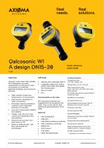 W1 *A Datasheet