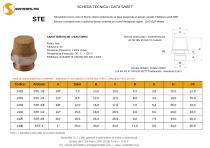 Data Sheet STE Silenziatore Sinterfiltri-1