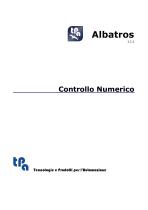 Albatross - 1